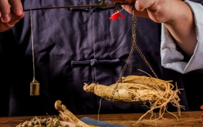 Unveiling the Potent Power of Radix Panax Ginseng